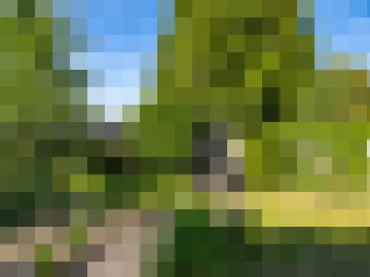 Weg naar Voorst 78 Zutphen thumbnail 47