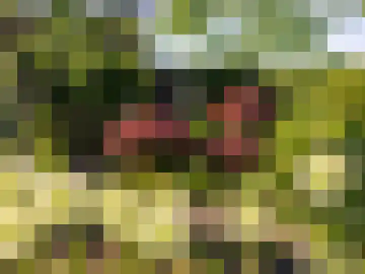 Weg naar Voorst 78 Zutphen thumbnail 48