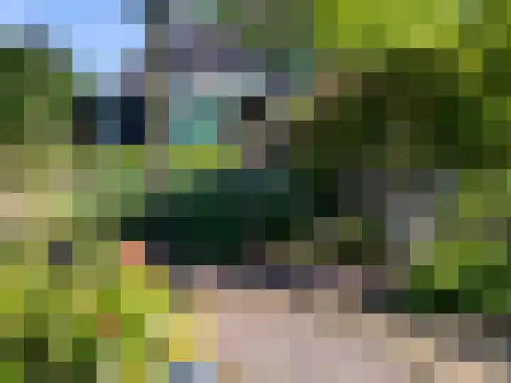 Weg naar Voorst 78 Zutphen thumbnail 49