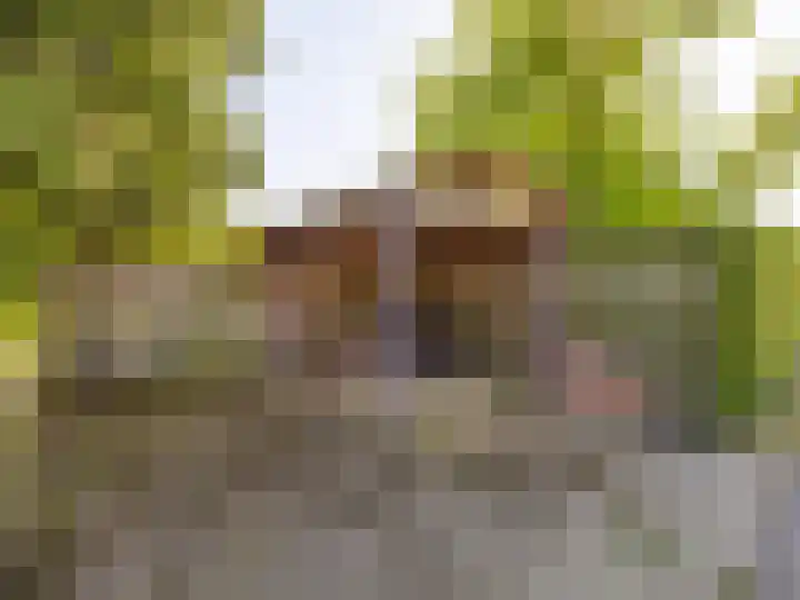 Weg naar Voorst 78 Zutphen thumbnail 56