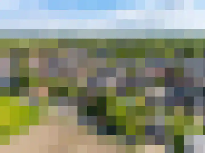 Weg naar Voorst 78 Zutphen thumbnail 63