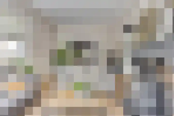 Weg naar Voorst 90 Zutphen thumbnail 11