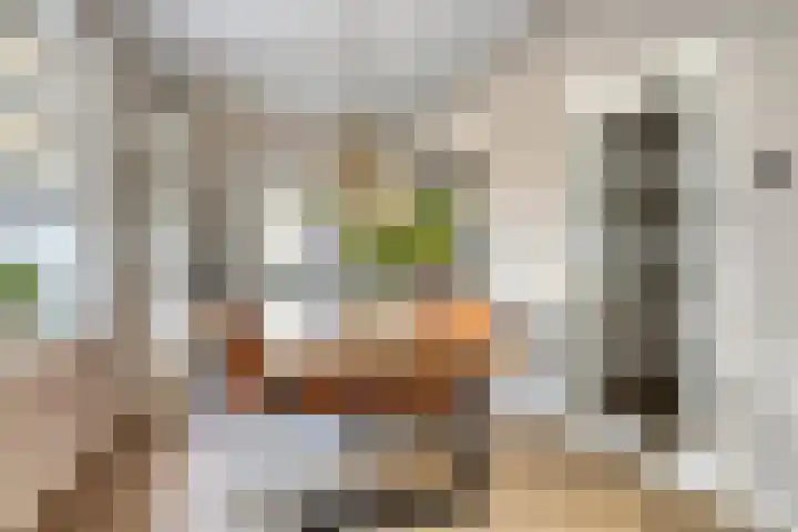Weg naar Voorst 90 Zutphen thumbnail 12