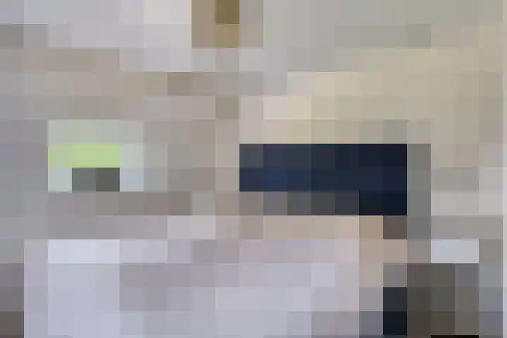 Weg naar Voorst 90 Zutphen thumbnail 17