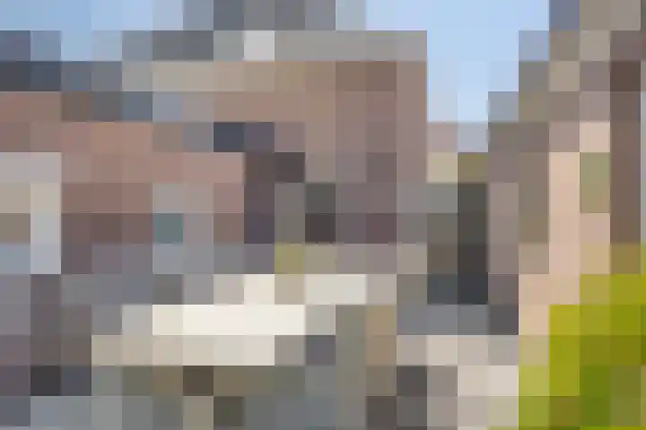 Weg naar Voorst 90 Zutphen thumbnail 30