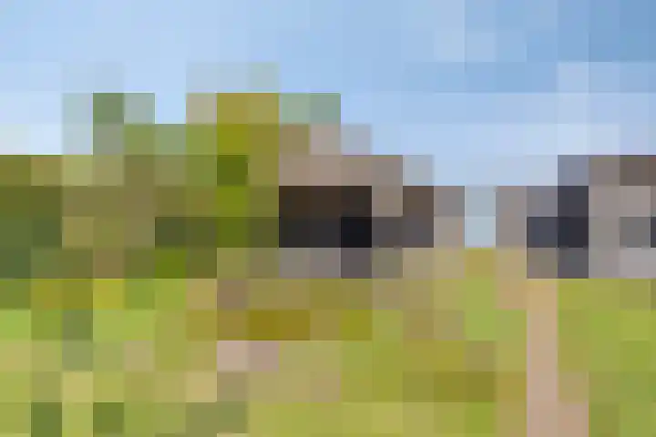 Weg naar Voorst 90 Zutphen thumbnail 33