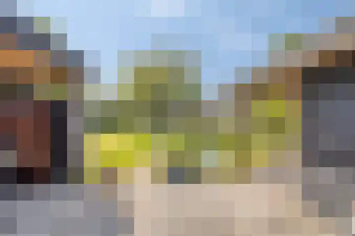 Weg naar Voorst 90 Zutphen thumbnail 35