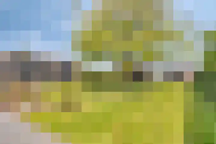 Weg naar Voorst 90 Zutphen thumbnail 36