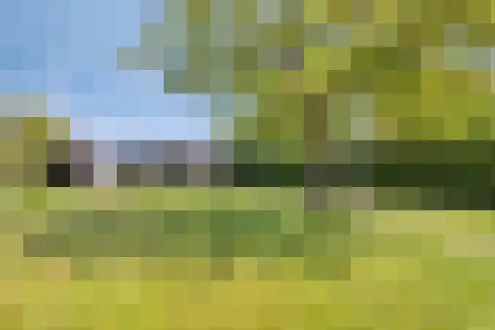 Weg naar Voorst 90 Zutphen thumbnail 37