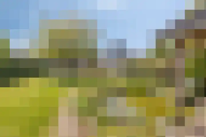 Weg naar Voorst 90 Zutphen thumbnail 38