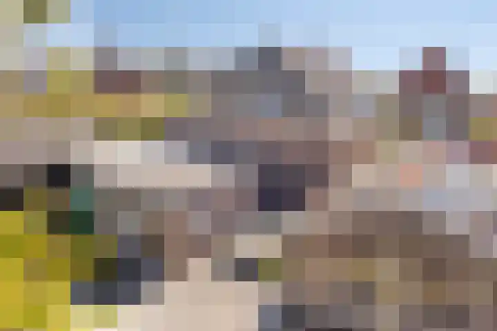 Weg naar Voorst 90 Zutphen thumbnail 39