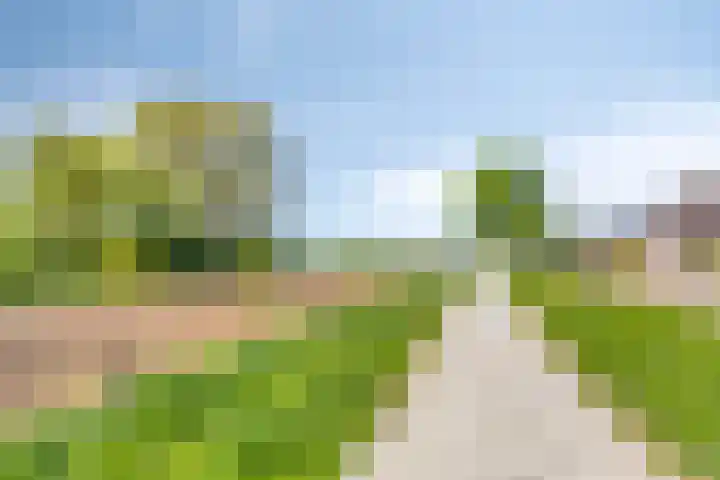 Weg naar Voorst 90 Zutphen thumbnail 40
