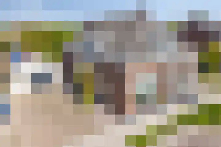 Weg naar Voorst 90 Zutphen thumbnail 48