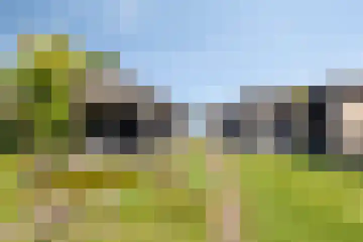 Weg naar Voorst 90 Zutphen thumbnail 5