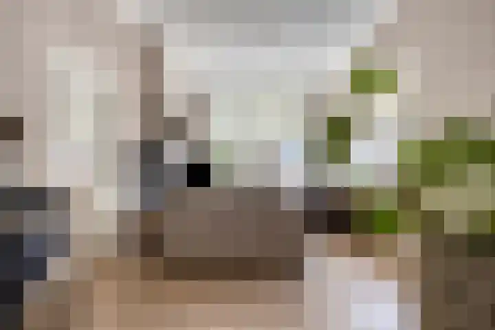 Weg naar Voorst 90 Zutphen thumbnail 9