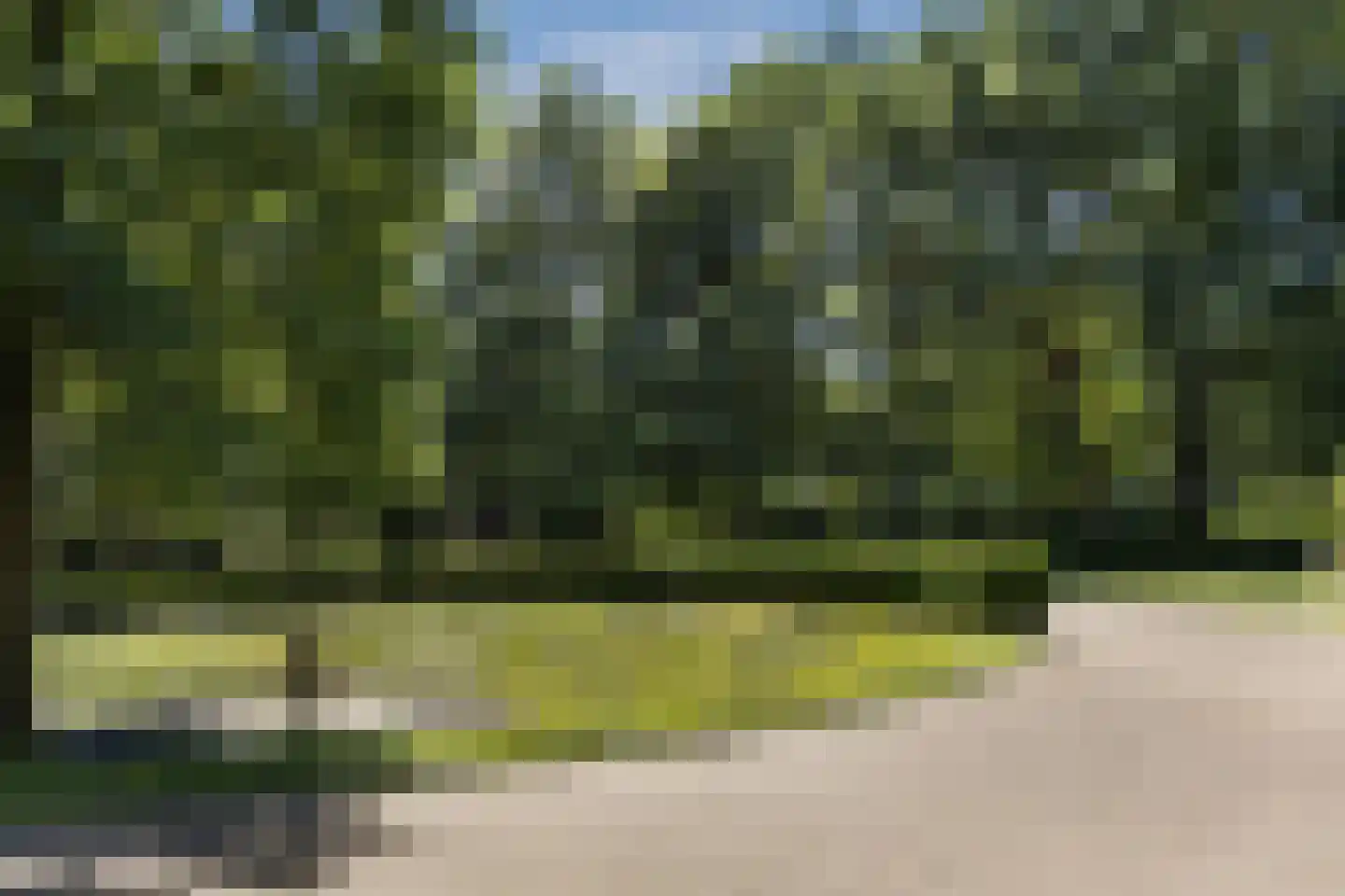 Weg over de Plaats 4 Doornspijk thumbnail 11