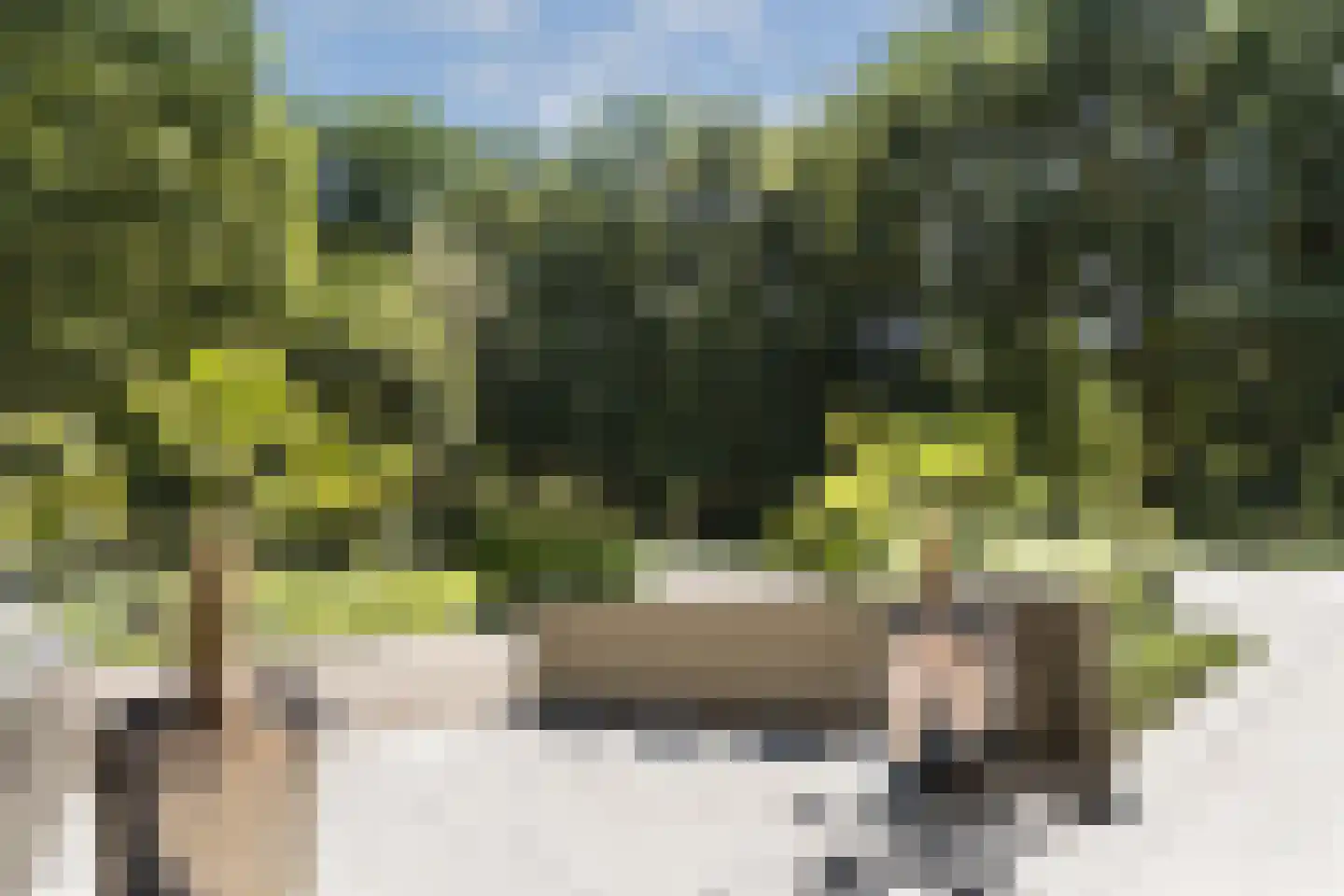 Weg over de Plaats 4 Doornspijk thumbnail 12