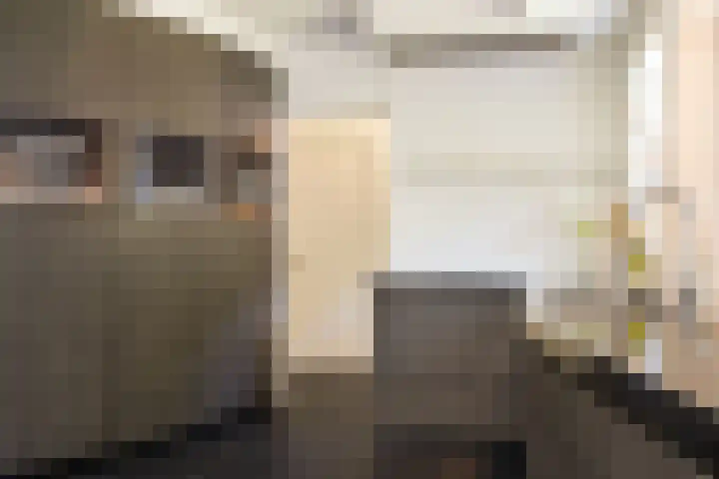 Weg over de Plaats 4 Doornspijk thumbnail 22