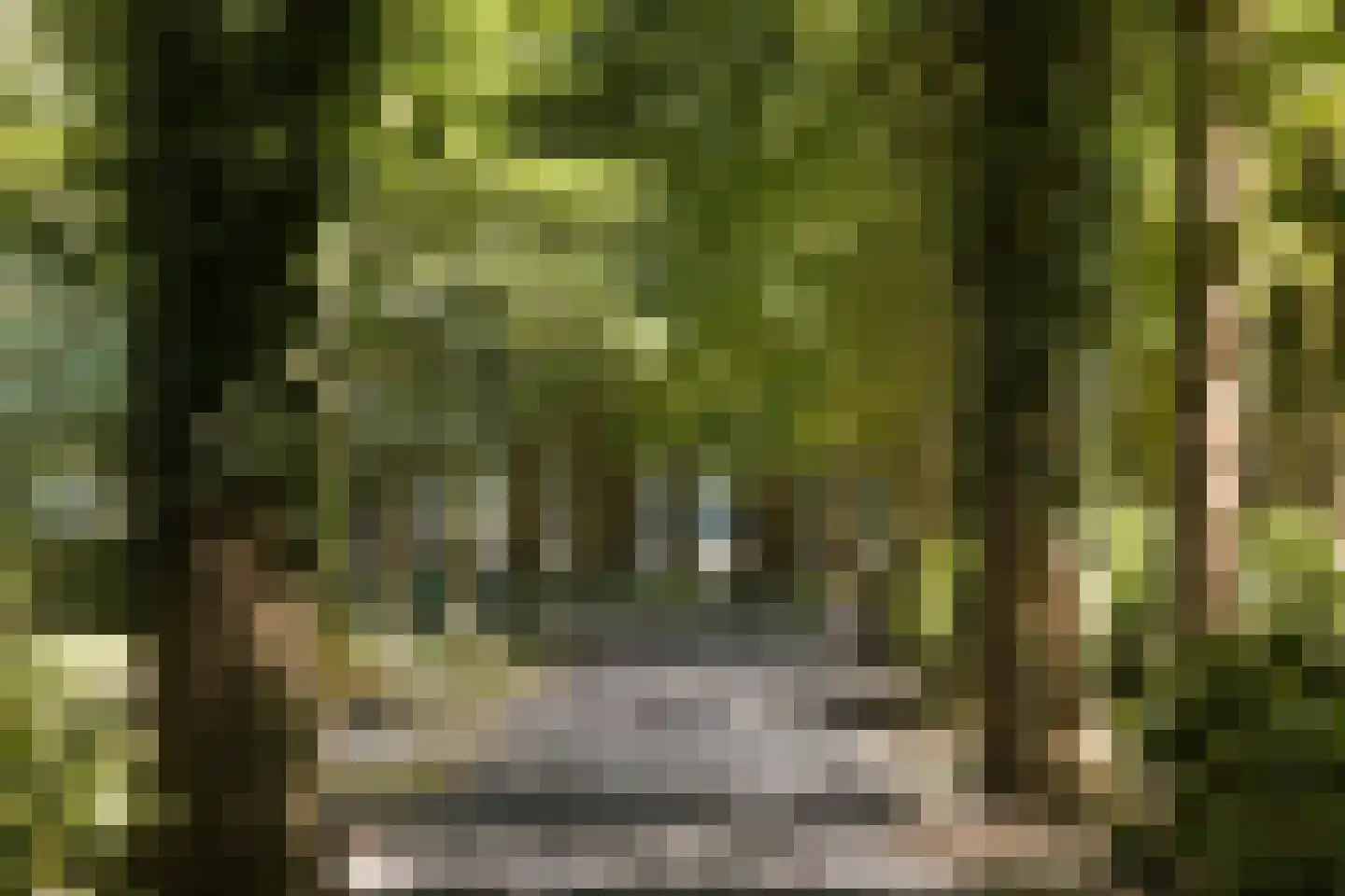Weg over de Plaats 4 Doornspijk thumbnail 6