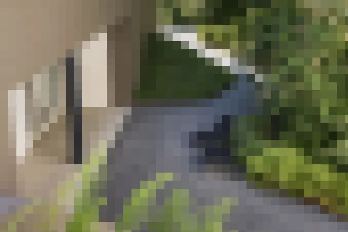 Weg over de Plaats 4 Doornspijk thumbnail 65