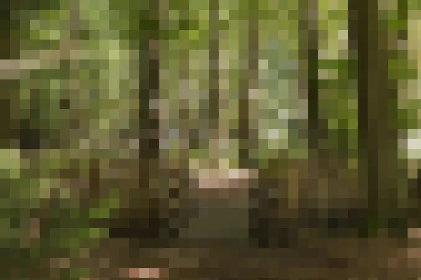 Weg over de Plaats 4 Doornspijk thumbnail 67