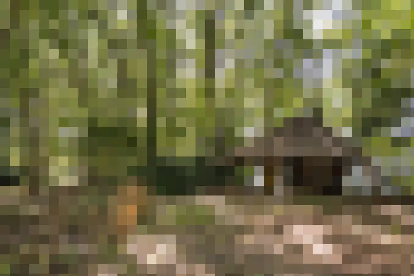 Weg over de Plaats 4 Doornspijk thumbnail 69