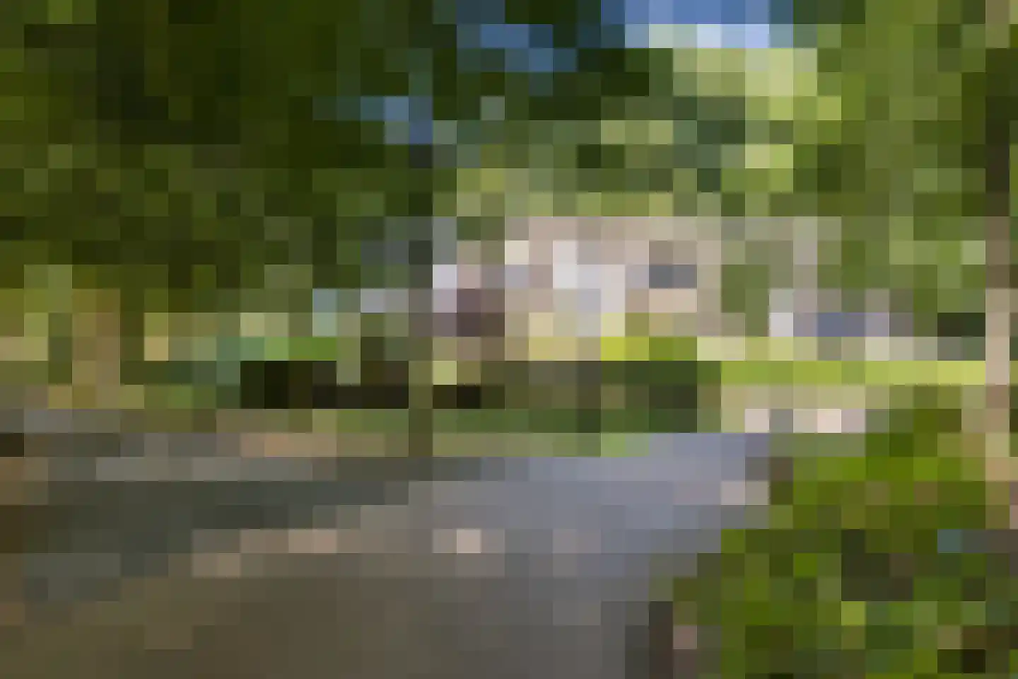 Weg over de Plaats 4 Doornspijk thumbnail 7