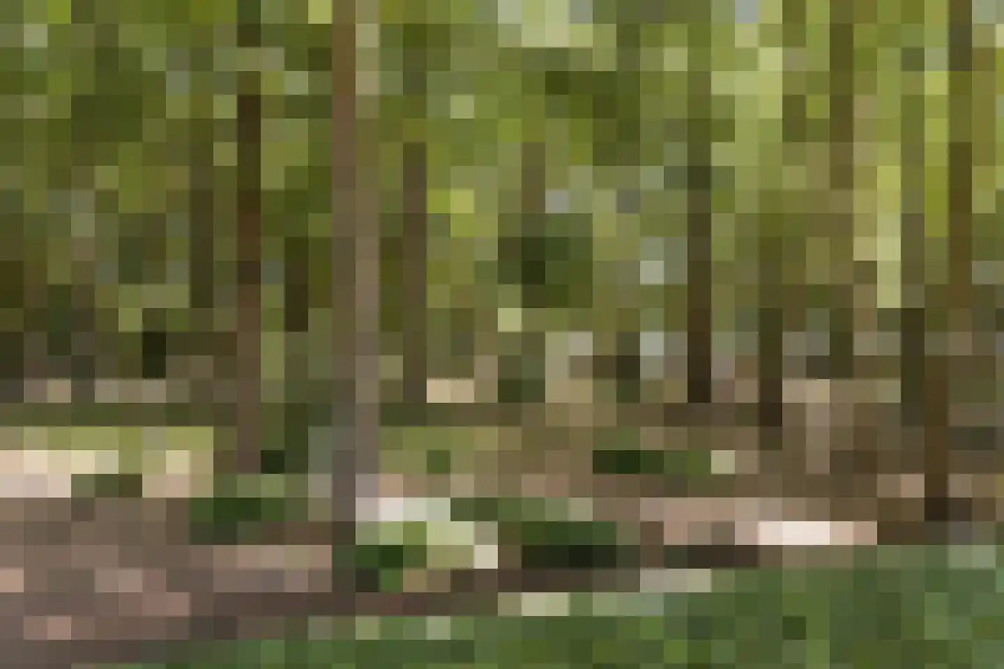 Weg over de Plaats 4 Doornspijk thumbnail 73