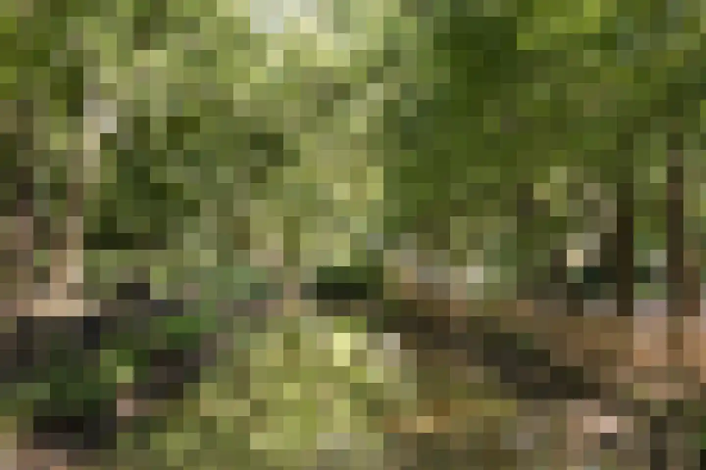 Weg over de Plaats 4 Doornspijk thumbnail 74