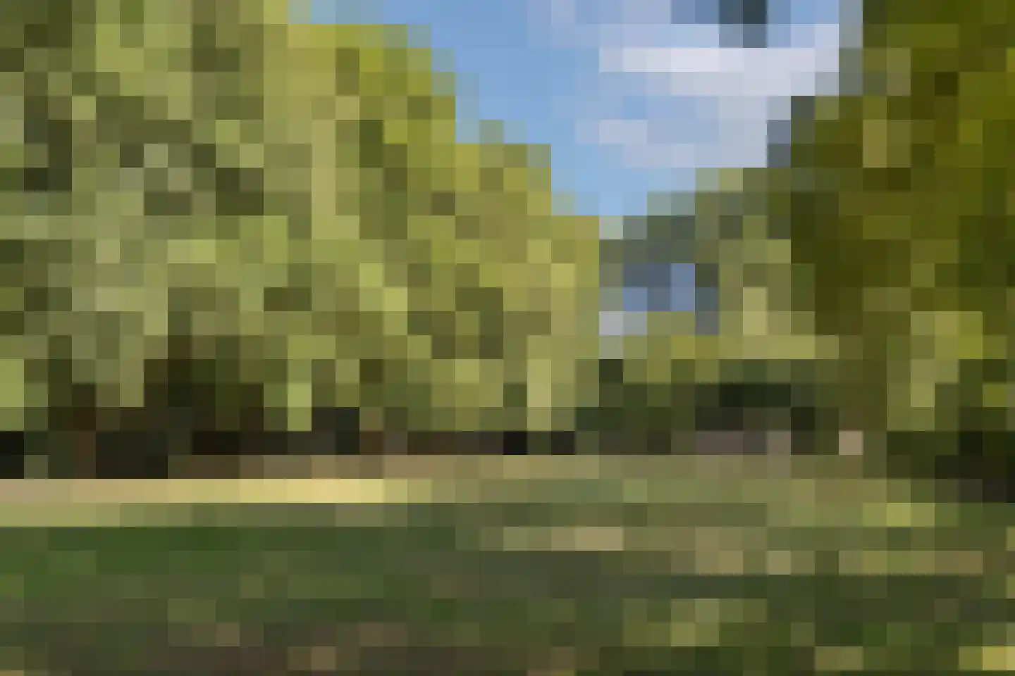 Weg over de Plaats 4 Doornspijk thumbnail 79