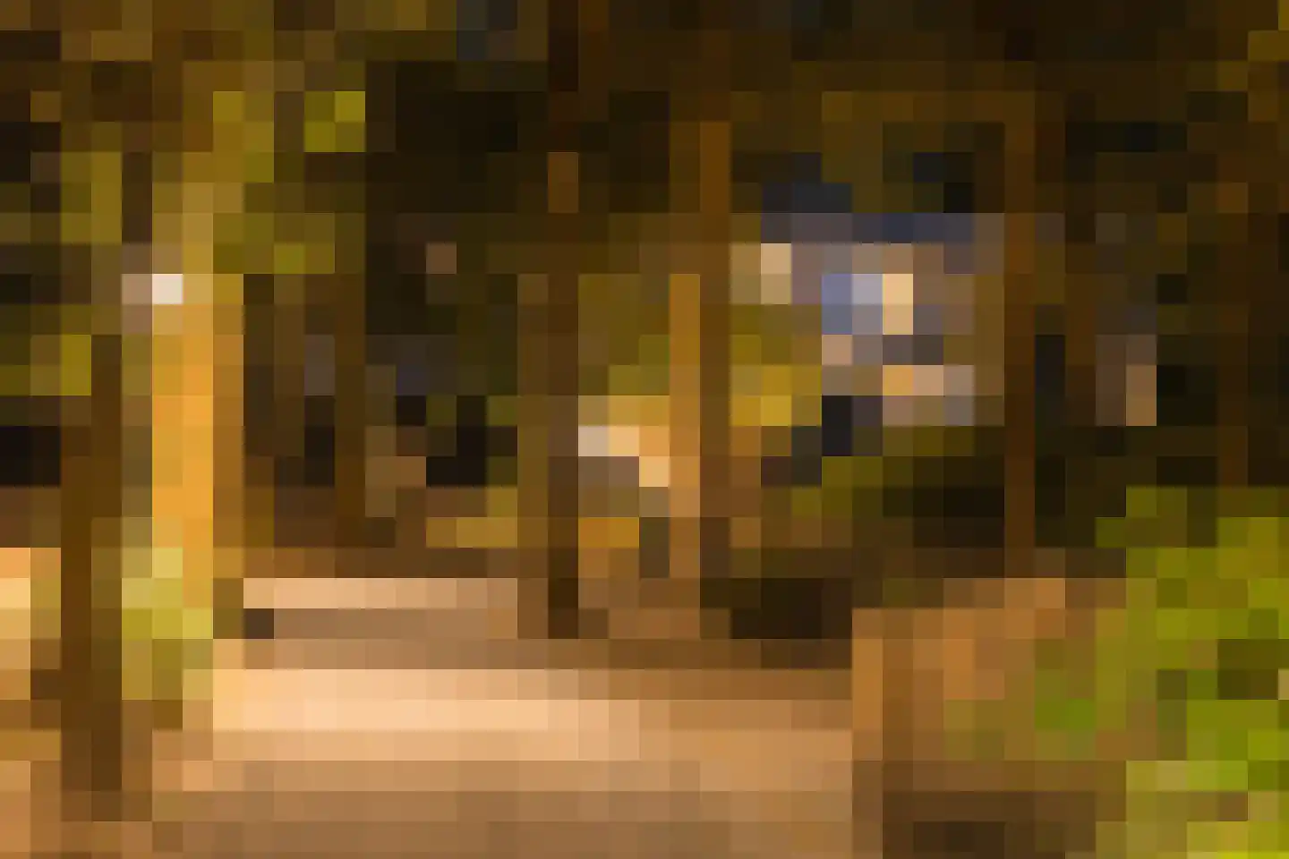 Weg over de Plaats 4 Doornspijk thumbnail 97