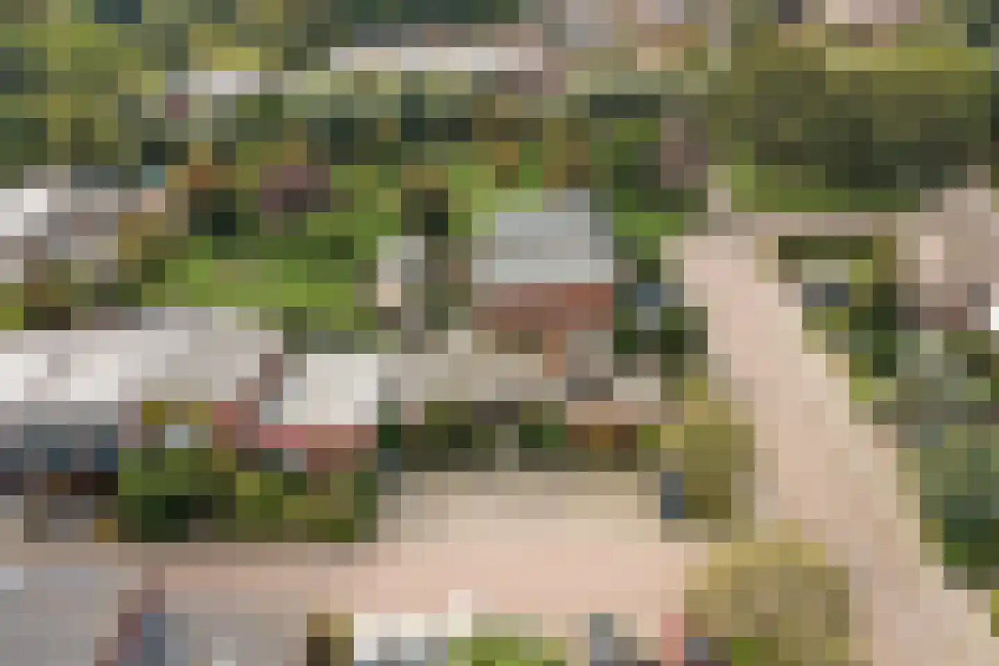 Weg van de Vrede 1 Amersfoort thumbnail 47