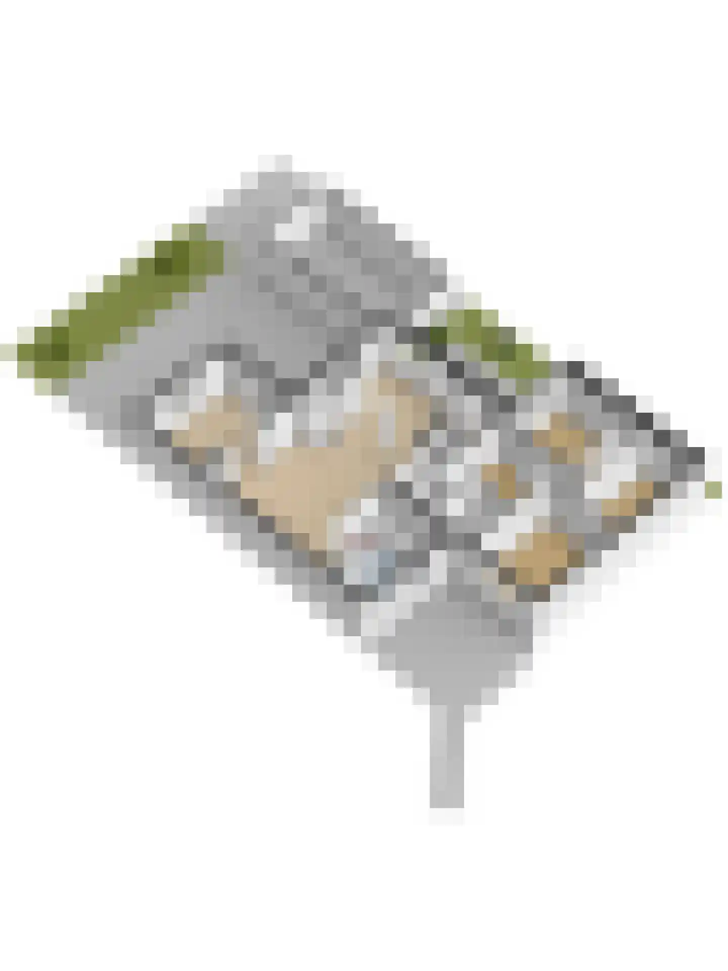 Weg van de Vrede 1 Amersfoort thumbnail 54