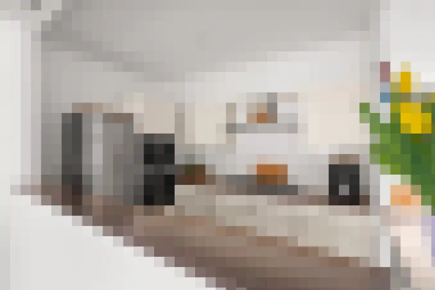 Weg van de Vrede 22 Amersfoort thumbnail 17