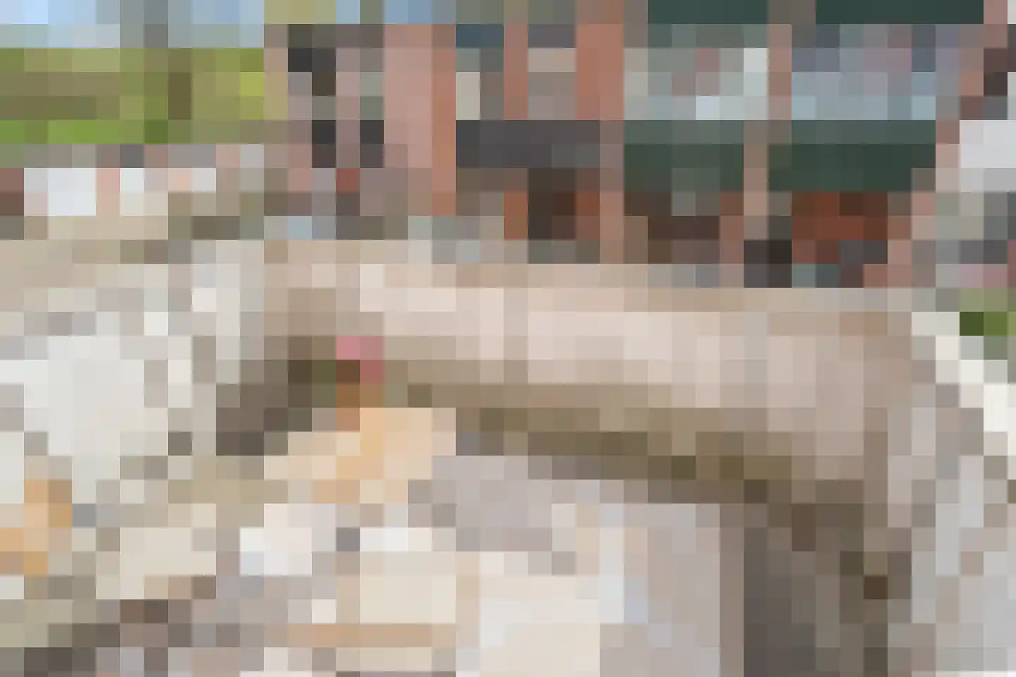 Weg van de Vrede 22 Amersfoort thumbnail 47