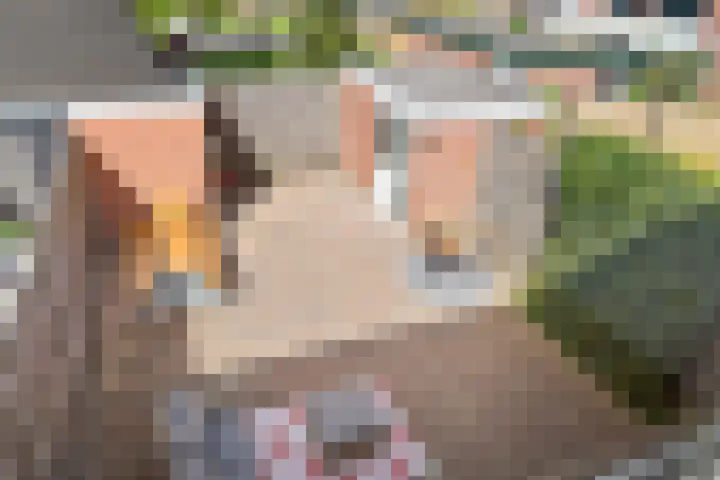 Weg van de Vrede 22 Amersfoort thumbnail 48