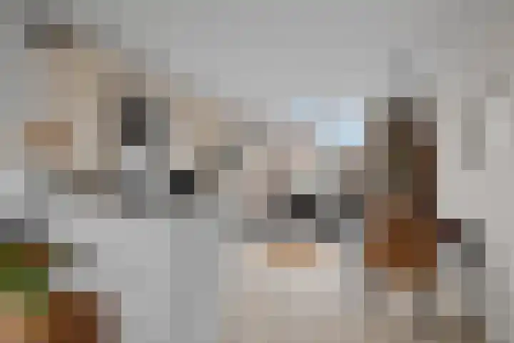 Weg van de Vrede 52 Amersfoort thumbnail 23
