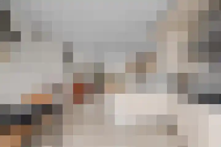 Weg van de Vrede 52 Amersfoort thumbnail 32