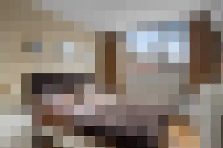 Weg van de Vrede 52 Amersfoort thumbnail 36