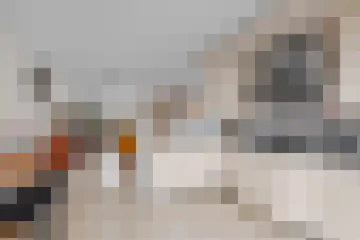 Weg van de Vrede 52 Amersfoort thumbnail 4