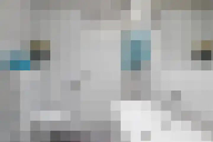 Weg van de Vrede 52 Amersfoort thumbnail 41