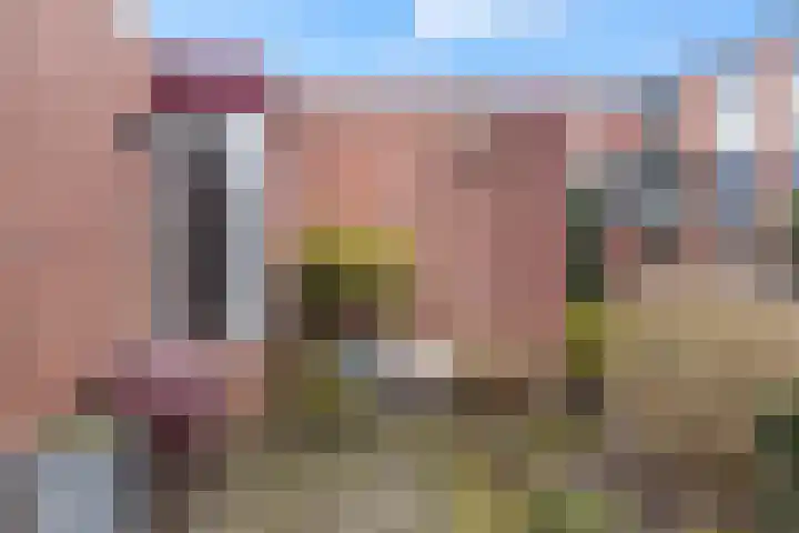 Weg van de Vrede 52 Amersfoort thumbnail 46