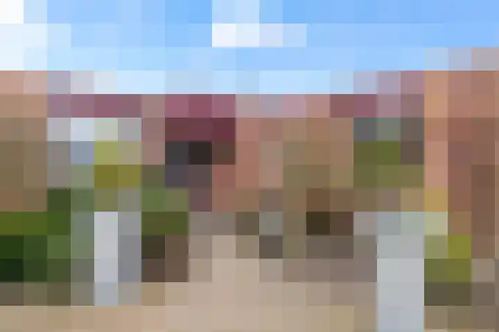 Weg van de Vrede 52 Amersfoort thumbnail 47