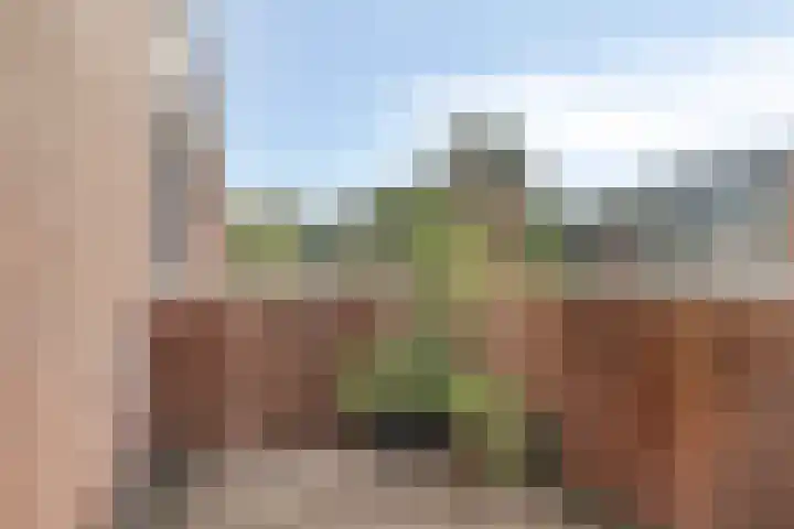 Weg van de Vrede 8 Amersfoort thumbnail 20