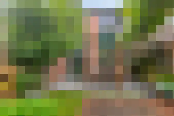 Weg van de Vrede 8 Amersfoort thumbnail 26