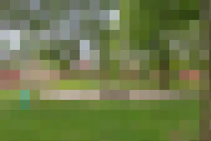 Weg van de Vrede 8 Amersfoort thumbnail 33