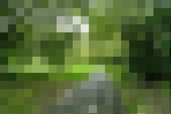 Weg van de Vrede 8 Amersfoort thumbnail 34