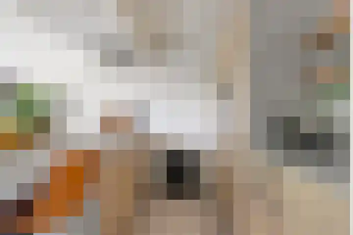 Weg van de Vrede 8 Amersfoort thumbnail 5
