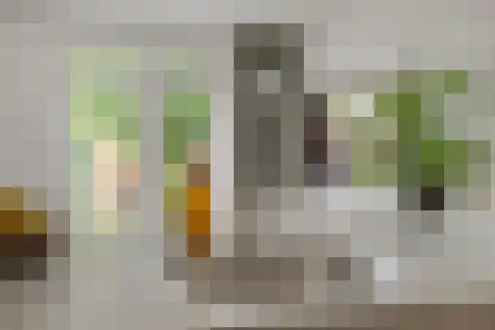 Weg van de Vrede 8 Amersfoort thumbnail 6