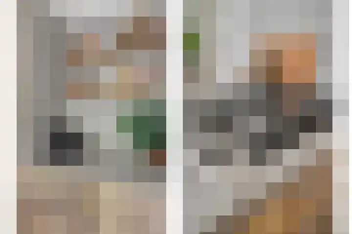 Weg van de Vrede 8 Amersfoort thumbnail 7